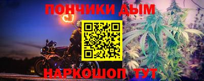 Альфа ПВП Кингисепп